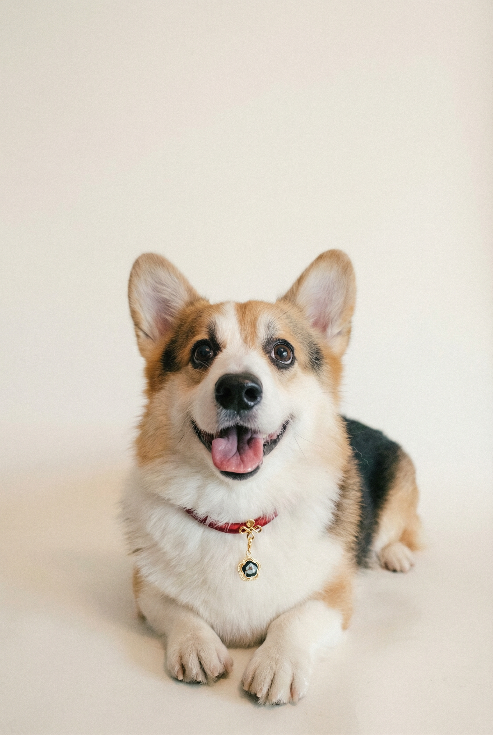 Signature Silk Necklace & Jade Charm Set